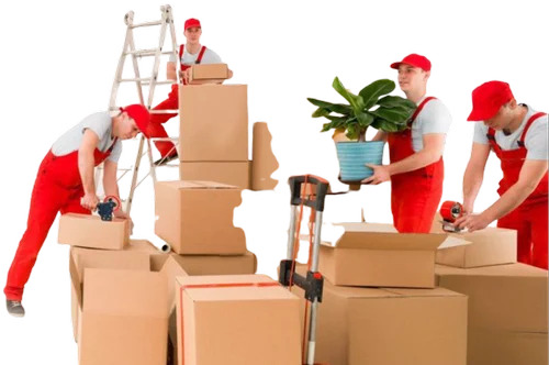 Household Shifting